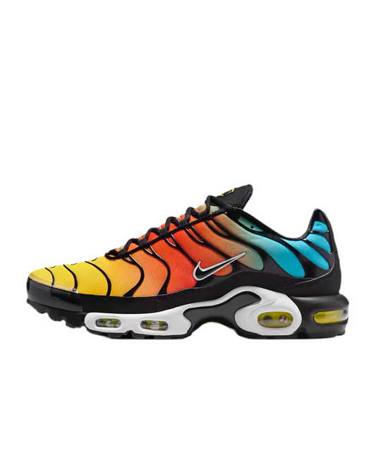 Nike air max plus