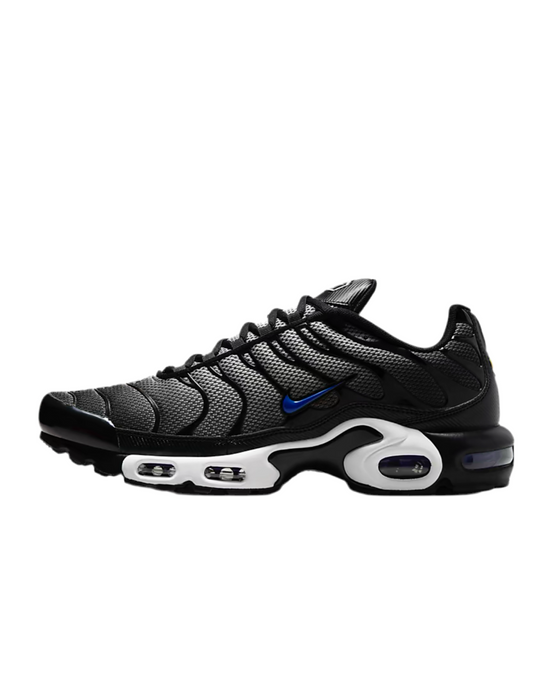 Nike air max plus